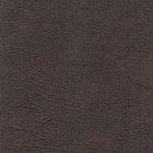   Triumf chocolate